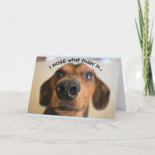 Funny Dog Birthday Card Kaart
