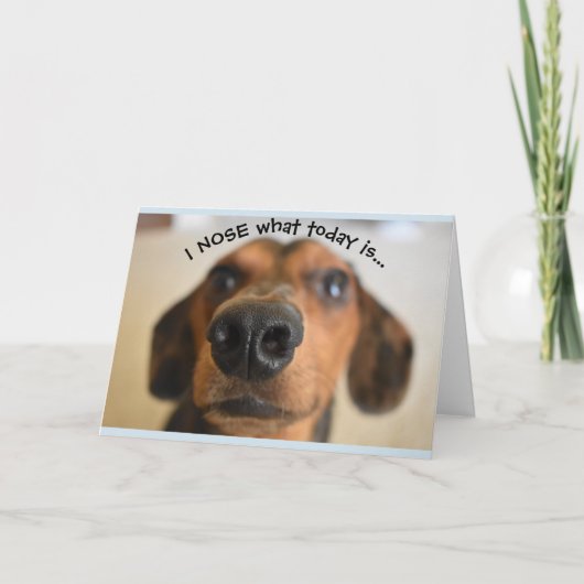 Funny Dog Birthday Card Kaart (Voorkant)