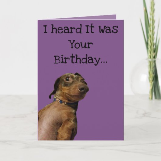 Funny Dog Birthday Card Kaart (Voorkant)