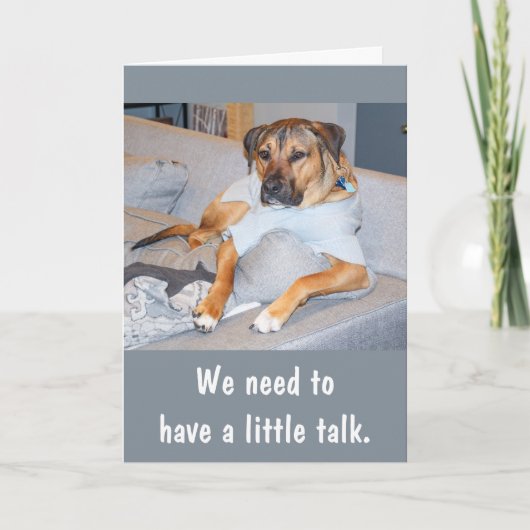 Funny Dog Birthday Card Kaart (Voorkant)
