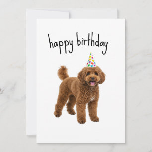 Funny Dog Birthday Card – Poodle Mom or Dad Gift Kaart