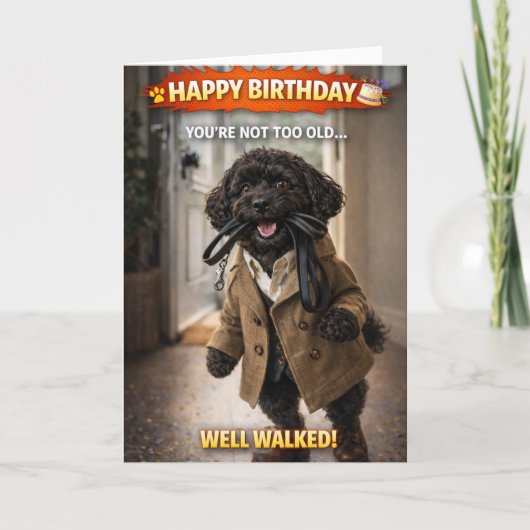 Funny Dog Birthday Card Well Walked Cockapoo Kaart (Voorkant)