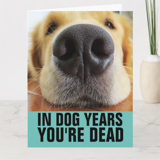 FUNNY DOG BIRTHDAY DOG GREETING CARDS KAART (Voorkant)