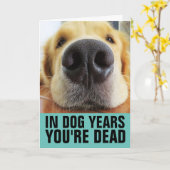 FUNNY DOG BIRTHDAY, IN DOG JAREN BENT JE DODE KAAR KAART (Gele Bloem)