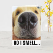 FUNNY DOG BIRTHDAY, SMELL BIRTHDAY CAKE? KAART (Gele Bloem)