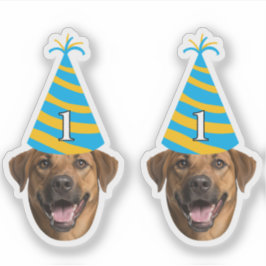 Funny Dog Birthday Sticker – Aangepast gezicht & l