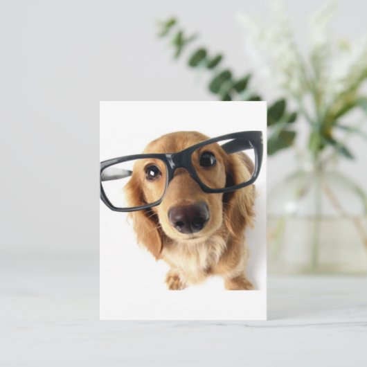 Funny Dog Briefkaart (Staand voorkant)