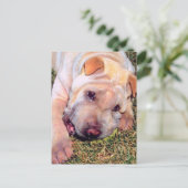 Funny Dog Briefkaart (Staand voorkant)