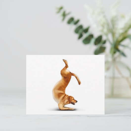 Funny dog briefkaart (Staand voorkant)