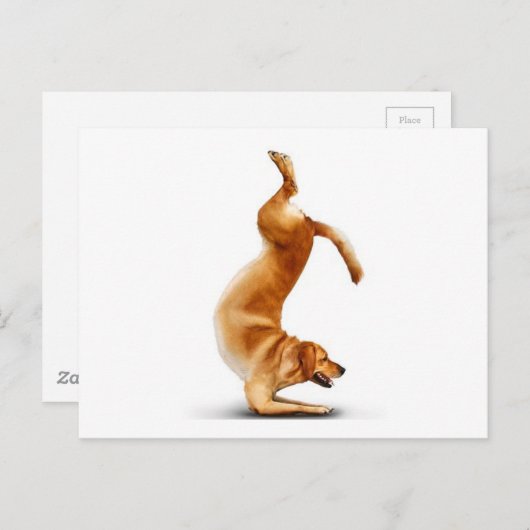 Funny dog briefkaart (Voorkant / Achterkant)