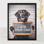 FUNNY DOG BRTHDAY MUGSHOT GREETING CARD KAART (Gele Bloem)