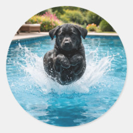 Funny dog Canonball  Summer Pool Party Ronde Sticker