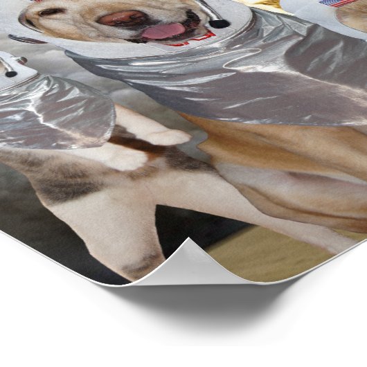 Funny Dog/Cat Astronauts Science Poster (Hoek)