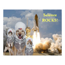 Funny Dog/Cat Astronauts Science Poster