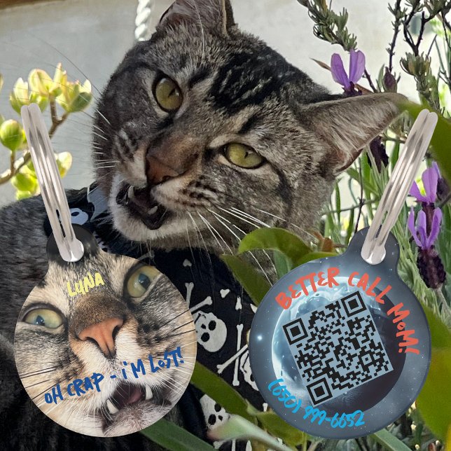 Funny Dog Cat Humor Gepersonaliseerde details & QR Huisdierpenning (Creator heeft geüpload)