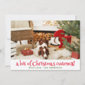 Funny Dog Christmas Afbeelding Gepersonaliseerde F Feestdagenkaart (Voorkant)