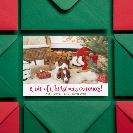 Funny Dog Christmas Afbeelding Gepersonaliseerde F Feestdagenkaart