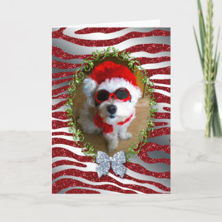 Funny Dog Christmas Kaart Zebra Glitter