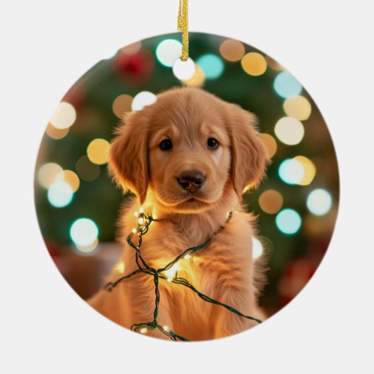 Funny Dog Christmas Ornament – Custom Pet Photo (Achterkant)