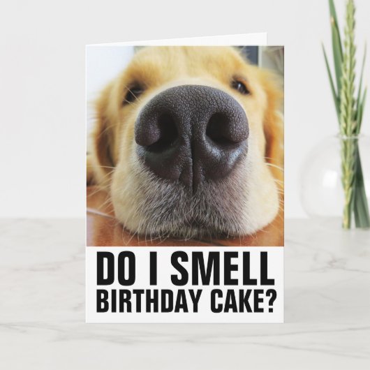 FUNNY DOG CLOSEUP BIRTHDAY CARDS KAART (Voorkant)
