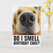 FUNNY DOG CLOSEUP BIRTHDAY CARDS KAART (Gele Bloem)