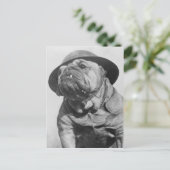 Funny  Dog die militaire helm bedient Briefkaart (Staand voorkant)