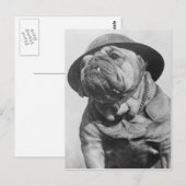 Funny  Dog die militaire helm bedient Briefkaart (Voorkant / Achterkant)