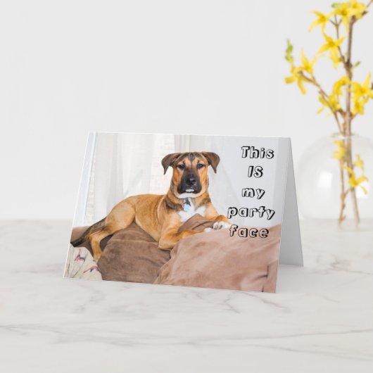 Funny Dog Dit is mijn partijfeest. Kaart (Gele Bloem)