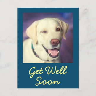 Funny Dog en Aanmoediging krijgen goed Briefkaart