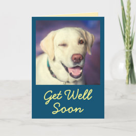 Funny Dog en Aanmoediging krijgen goed Kaart