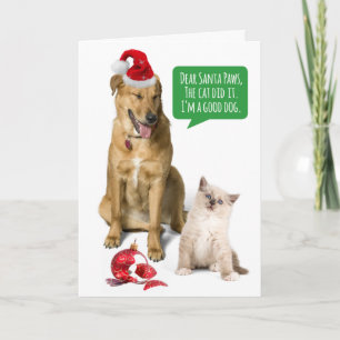 Funny Dog en kat met gebroken Ornament kerst Feestdagen Kaart