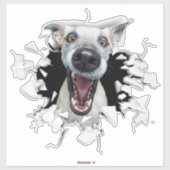Funny dog face Sticker (Vel)