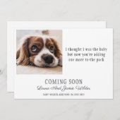 Funny Dog Foto Zwangerschap Aankondiging (Voorkant / Achterkant)