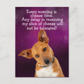 Funny dog gedachte briefkaart (Voorkant)