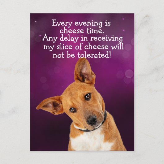 Funny dog gedachte briefkaart (Voorkant)