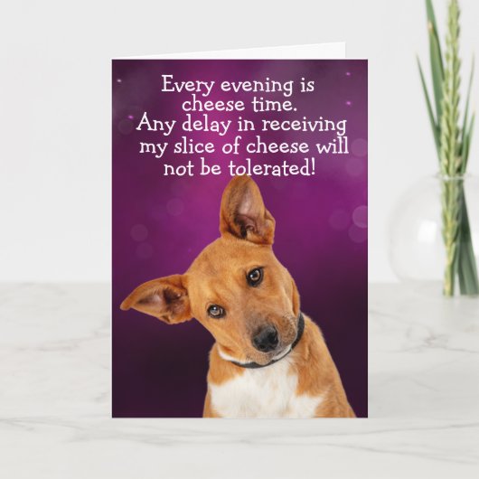 Funny dog gedachte kaart (Voorkant)