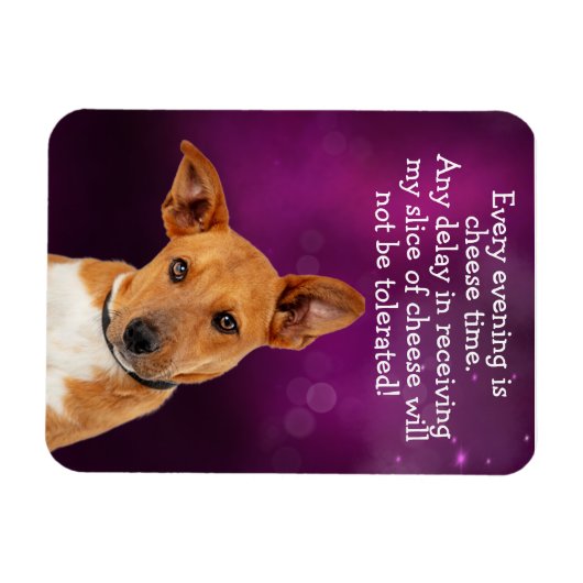 Funny dog gedachte magneet (Horizontaal)