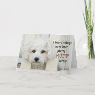 Funny Dog Get Well Soon Ruff Pun Schattige Motivat Kaart