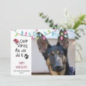 Funny Dog Gezegde | Pastellichten | Foto Feestdagenkaart (Staand voorkant)