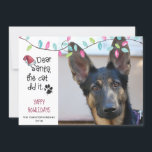 Funny Dog Gezegde | Pastellichten | Foto Feestdagenkaart<br><div class="desc">Een Humoureuze fotomkaart met een foto van je hond, of je kunt hem sturen zoals bij het gezegde "Beste kerstman, de kat deed het." De groet van HOWLIDAYS YAPPY is editable om te veranderen zoals gewenst. (DE TIP VAN DE FOTO: Voor snelste/beste resultaten, kies een foto met het onderwerp in...</div>