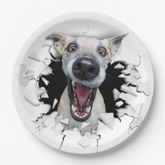 Funny dog gezicht papieren bordje (Voorkant)