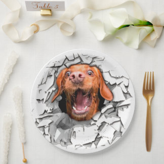 Funny dog gezicht papieren bordje