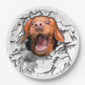 Funny dog gezicht papieren bordje (Voorkant)