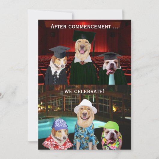 Funny Dog Graduation Party Invitation Kaart (Voorkant)