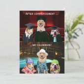Funny Dog Graduation Party Invitation Kaart (Staand voorkant)