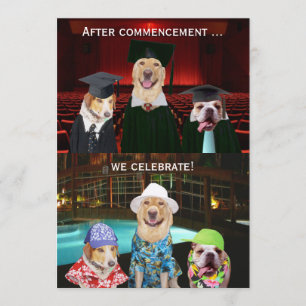 Funny Dog Graduation Party Invitation Kaart