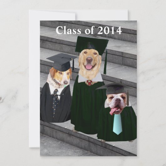 Funny Dog Graduation Party Invitation Kaart (Voorkant)