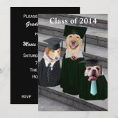 Funny Dog Graduation Party Invitation Kaart (Voorkant / Achterkant)