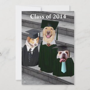 Funny Dog Graduation Party Invitation Kaart