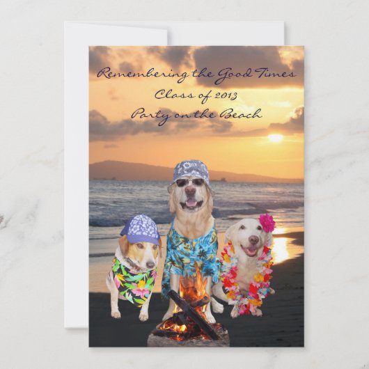 Funny Dog Graduation Party on the Beach Invitation Kaart (Voorkant)